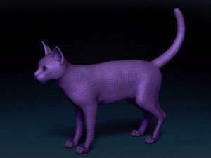 Abyssinian Cat Base Mesh Modelo 3D