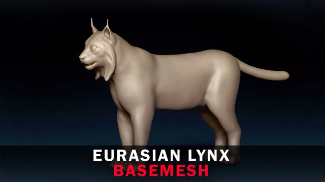 Eurasian Lynx Base Mesh 3D Model .c4d .max .obj .3ds .fbx .stl .blend 
