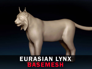 Eurasian Lynx Base Mesh 3D Model