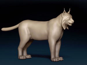 Eurasian Lynx Base Mesh 3D Model