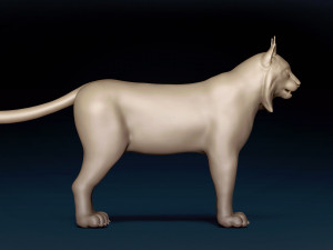 Eurasian Lynx Base Mesh 3D Model