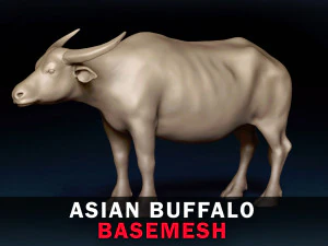 Siatka bazowa z azjatyckiego bawołu Model 3D