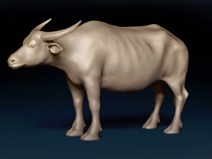 Asian Buffalo Base Mesh 3D Model