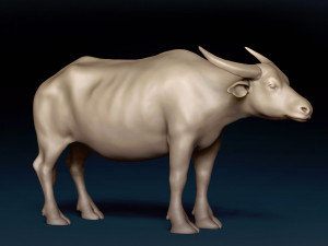 Asian Buffalo Base Mesh 3D Model