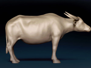 Asian Buffalo Base Mesh 3D Model