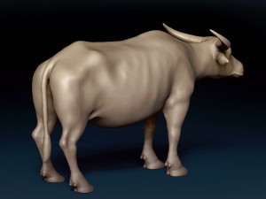 Asian Buffalo Base Mesh 3D Model