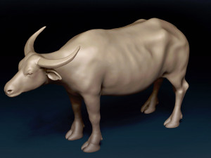 Asian Buffalo Base Mesh 3D Model