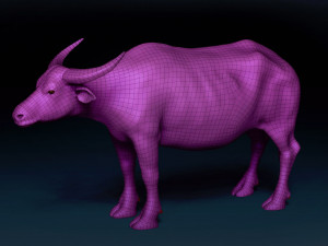 Asian Buffalo Base Mesh 3D Model