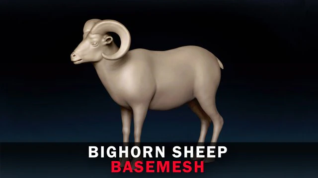Bighorn Sheep Base Mesh 3D Model .c4d .max .obj .3ds .fbx .stl .blend