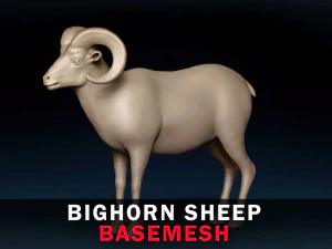 オオツノヒツジベースメッシュ 3Dモデル