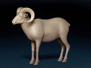 Bighorn Sheep Base Mesh 3D Model