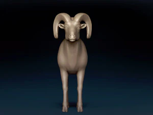 Bighorn Sheep Base Mesh 3D Model