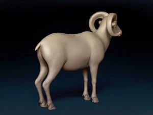 Bighorn Sheep Base Mesh 3D Model
