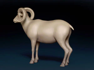 Bighorn Sheep Base Mesh 3D Model