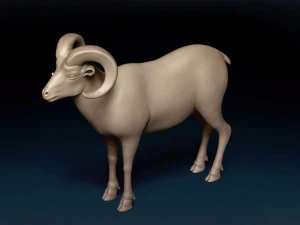 Bighorn Sheep Base Mesh 3D Model