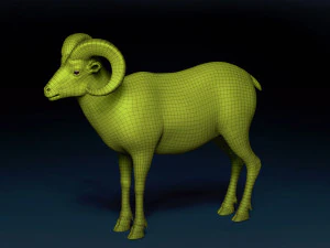 Bighorn Sheep Base Mesh 3D Model