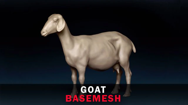 Goat Base Mesh 3D Model .c4d .max .obj .3ds .fbx .stl .blend 