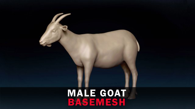 Male Goat Base Mesh Modelo 3D .c4d .max .obj .3ds .fbx .stl .blend 