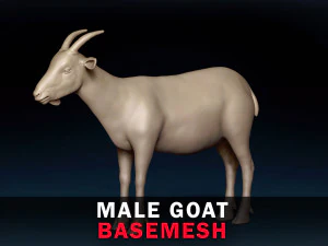 雄ヤギベースメッシュ 3Dモデル