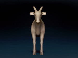 Male Goat Base Mesh Modelo 3D