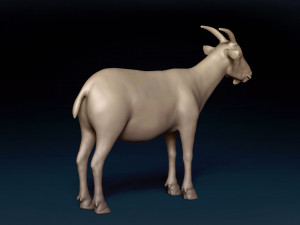 Male Goat Base Mesh Modelo 3D