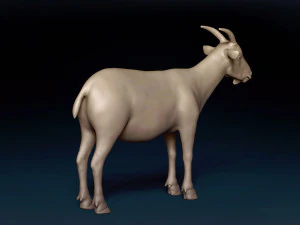Malha base de cabra macho Modelo 3D