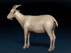 Male Goat Base Mesh Modelo 3D