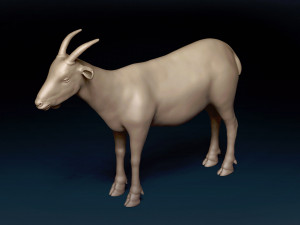 Male Goat Base Mesh Modelo 3D