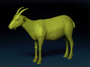 Male Goat Base Mesh Modelo 3D