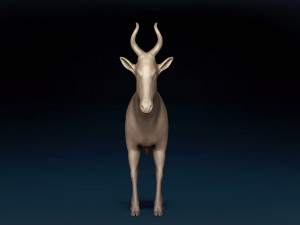 Red Hartebeest Base Mesh Model 3D