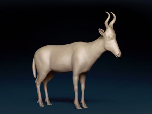 Red Hartebeest Base Mesh Model 3D