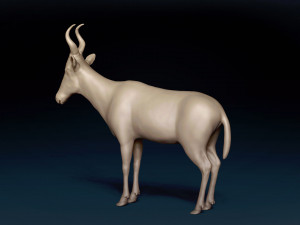 Red Hartebeest Base Mesh Model 3D