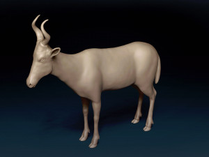 Red Hartebeest Base Mesh Model 3D