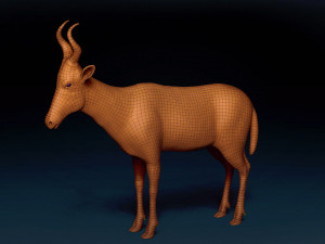 Red Hartebeest Base Mesh Model 3D