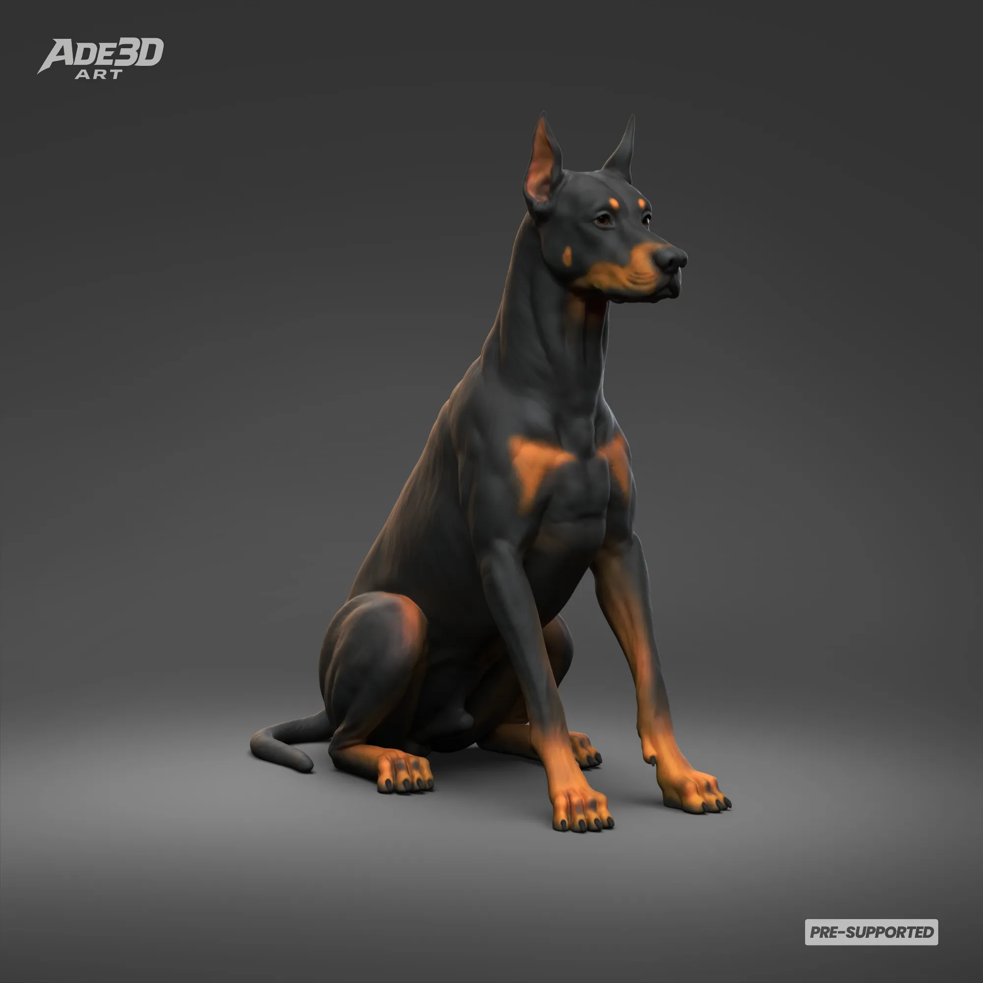 Doberman Pinscher Cropped Ears Natural Tail 3D Print Pose 04 3D Print Model .c4d .max .obj .3ds .fbx .stl .blend 