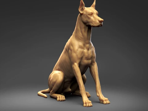 Doberman Pinscher Cropped Ears Natural Tail 3D Print Pose 04 3D Print Model