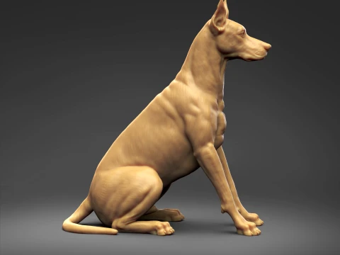 Doberman Pinscher Cropped Ears Natural Tail 3D Print Pose 04 3D Print Model