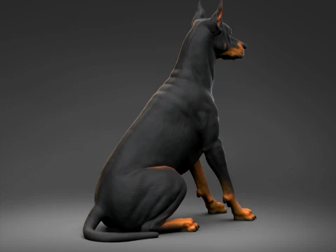 Doberman Pinscher Cropped Ears Natural Tail 3D Print Pose 04 3D Print Model