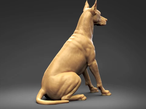 Doberman Pinscher Cropped Ears Natural Tail 3D Print Pose 04 3D Print Model