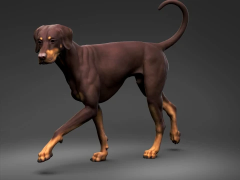 Doberman Pinscher Natural Ears Natural Tail 3D Print Pose 04 3D Print Model