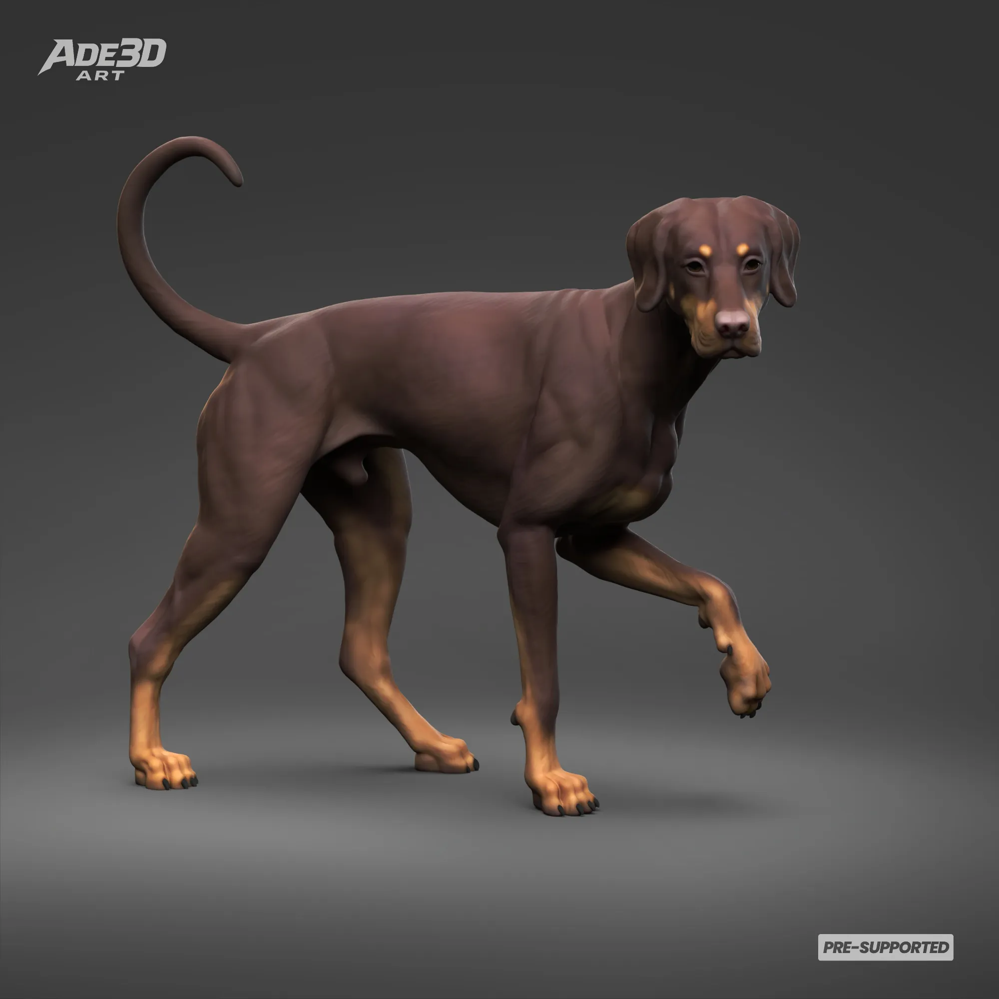 Doberman Pinscher Natural Ears Natural Tail 3D Print Pose 06 3D Print Model .c4d .max .obj .3ds .fbx .stl .blend 