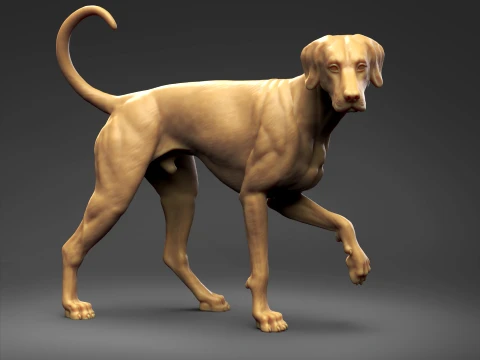 Doberman Pinscher Natural Ears Natural Tail 3D Print Pose 06 3D Print Model