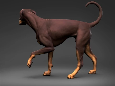 Doberman Pinscher Natural Ears Natural Tail 3D Print Pose 06 3D Print Model