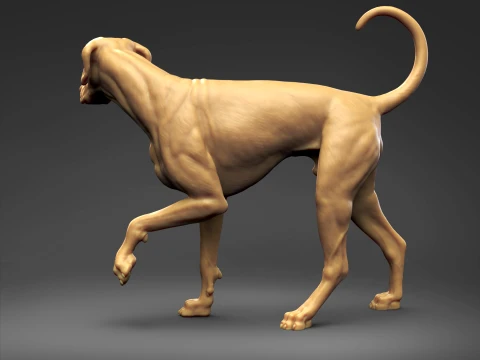 Doberman Pinscher Natural Ears Natural Tail 3D Print Pose 06 3D Print Model