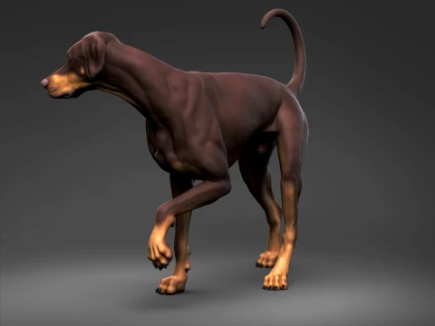 Doberman Pinscher Natural Ears Natural Tail 3D Print Pose 06 3D Print Model