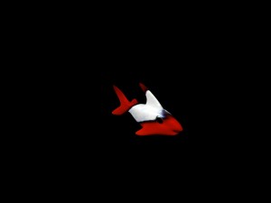 cartoon fish 3D Модель