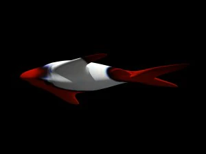 cartoon fish 3D Model