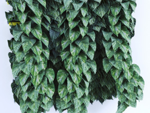 grasswall Model 3D