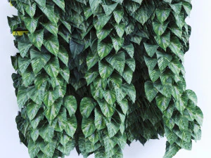 трава 3D Модель