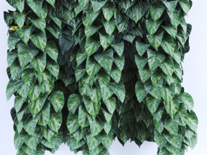 grasswall 3D Model
